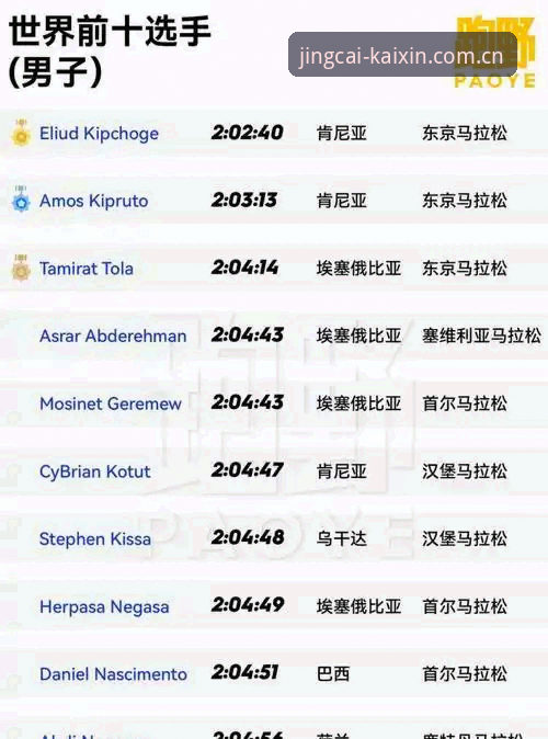 kaiyun电竞平台2026新版深度评测：开云体育专业体育的技术架构与交互体验
